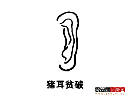 猪耳<a href=/topics/101/ target=_blank class=infotextkey><a href=/topics/mianxiangtu/ target=_blank class=infotextkey>面相图</a></a>解