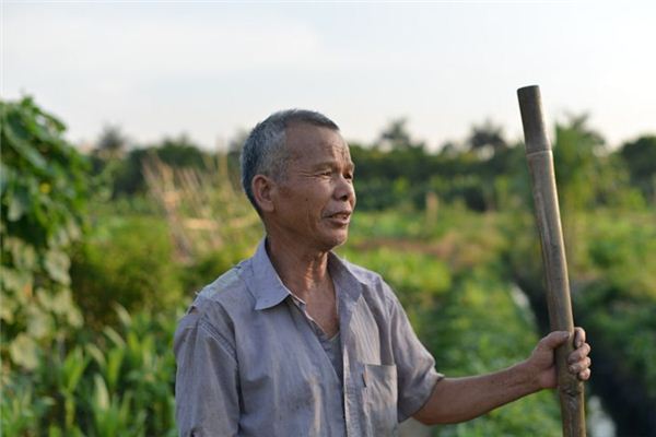 梦见老伯伯