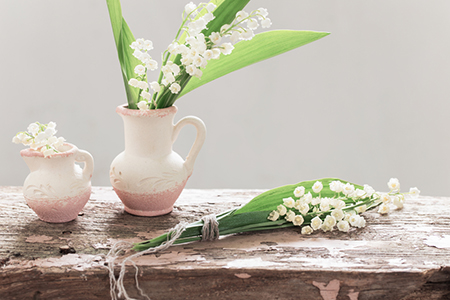 家中植物风水,<a href=/topic/45/ target=_blank class=infotextkey><a href=/topics/45/ target=_blank class=infotextkey><a href=/topics/zhiwubaifang/ target=_blank class=infotextkey>植物摆放</a></a></a>风水