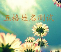 灵犀起名知识:2016生肖属猴的宝宝取名宜用及忌用字眼