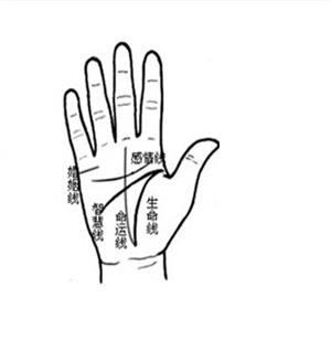 灵犀手相课堂:细说手相中最基本的四条线