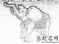 大象摆件鼻子朝向的寓意