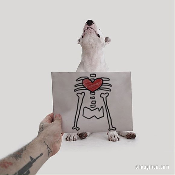 墙上涂鸦：将爱犬化成趣味插画作品