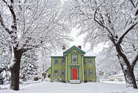 精灵的藏身之处 被世界遗忘的雪白世界小屋