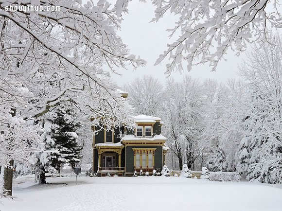 精灵的藏身之处 被世界遗忘的雪白世界小屋