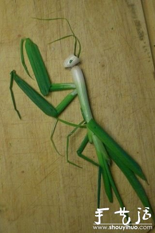 小葱DIY的螳螂