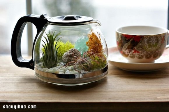 DIY盆栽设计 手工制作咖啡壶里的植物世界