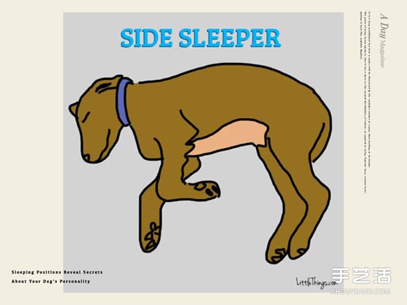 狗狗为什么这样睡？狗狗睡姿告诉你它的小心事