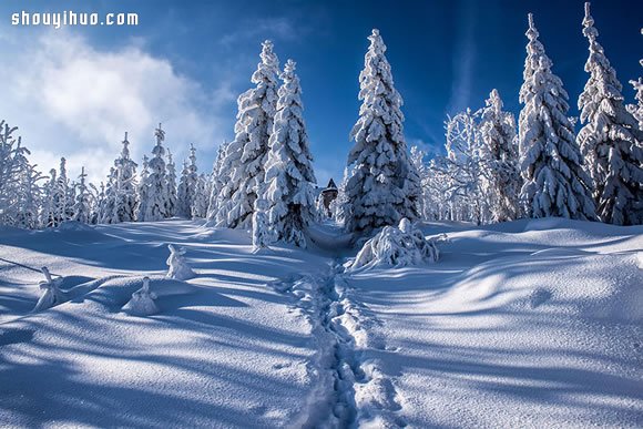 精灵的藏身之处 被世界遗忘的雪白世界小屋