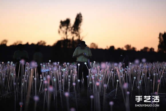 5万个灯泡DIY而成 闪耀于澳洲心脏的光之原野