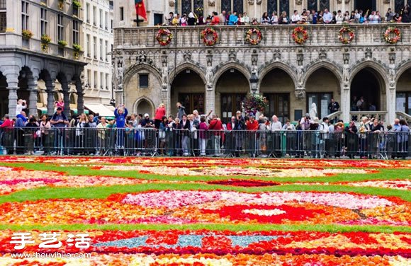 超壮观比利时鲜花地毯！共一百万支秋海棠