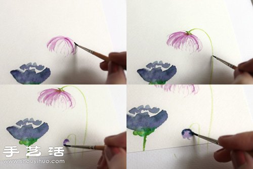 水彩画教程：教你各种漂亮花卉的水彩画法