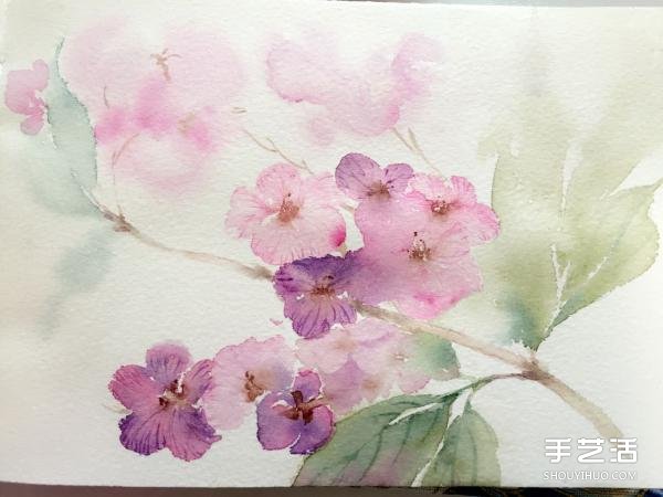 水彩画画花的步骤图片 花朵水彩画的技法教程