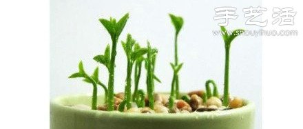 柚子核/桂圆核废物利用 手工自制可爱小盆栽