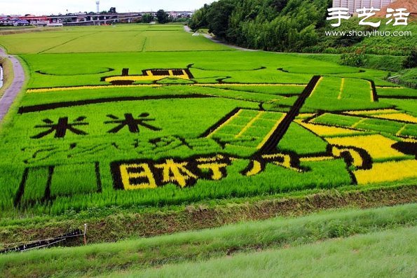 奇妙有趣创意DIY 稻田里创作巨幅画卷