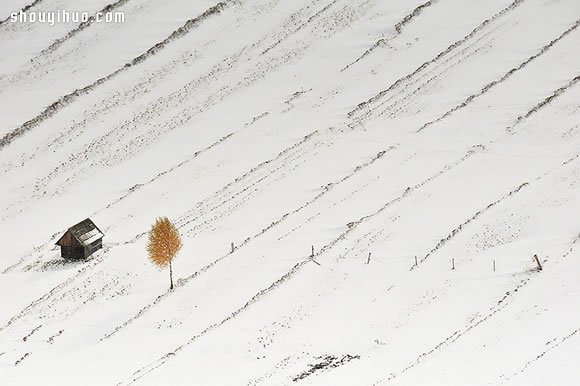 精灵的藏身之处 被世界遗忘的雪白世界小屋