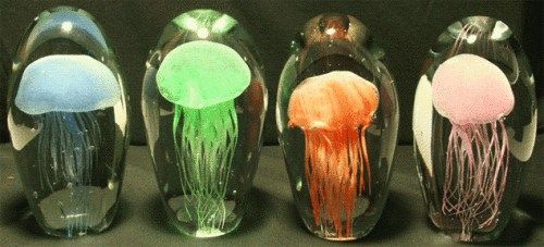 水母DIY做成的环保节能灯