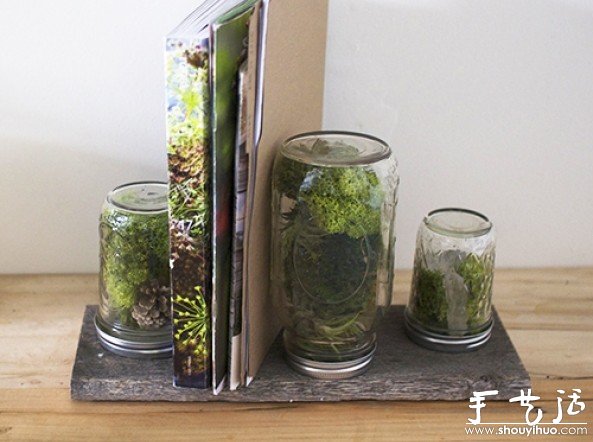 玻璃瓶DIY植物盆景的教程