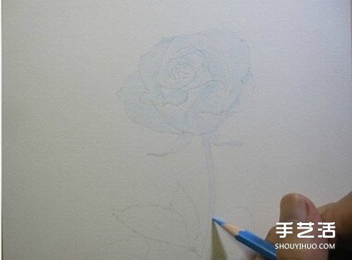 彩铅玫瑰花的画法步骤 玫瑰花彩色铅笔画教程