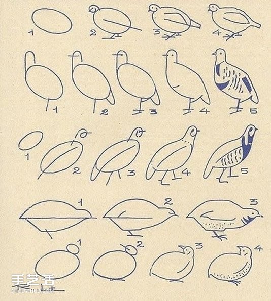 不同形态动物的简笔画画法图片 简单容易学！
