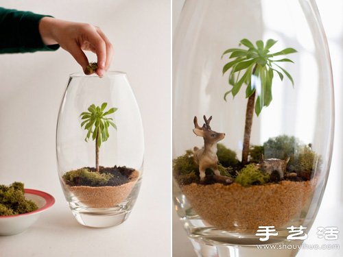 DIY制作漂亮的植物小盆栽