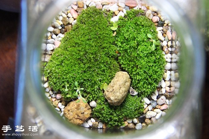 DIY可爱的苔藓造景 自制漂亮苔藓微景观