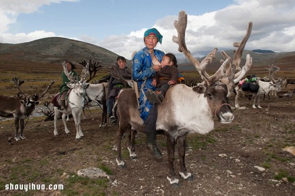 蒙古游牧民族杜科哈 靠驯鹿提供生活的一切