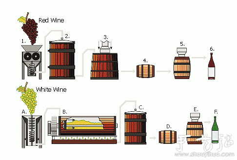 家庭如何DIY葡萄酒