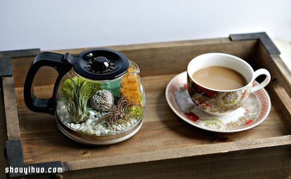 DIY盆栽设计 手工制作咖啡壶里的植物世界
