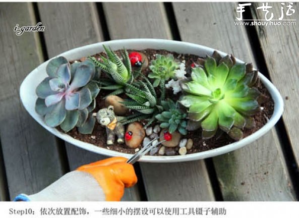 多肉植物手工盆栽DIY