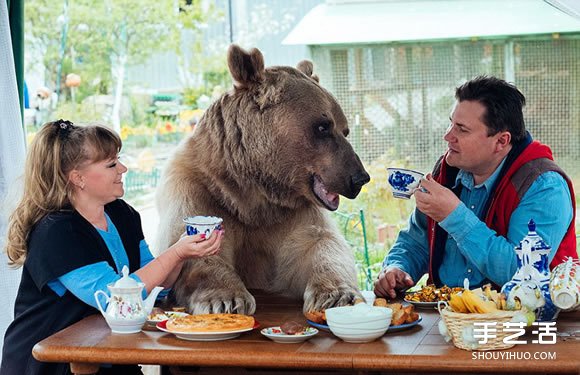 宛如童话故事情节 大熊也可以成为人类的伙伴