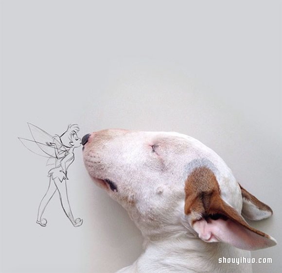 墙上涂鸦：将爱犬化成趣味插画作品