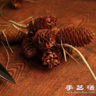 松子变废为宝 DIY漂亮节日装饰品