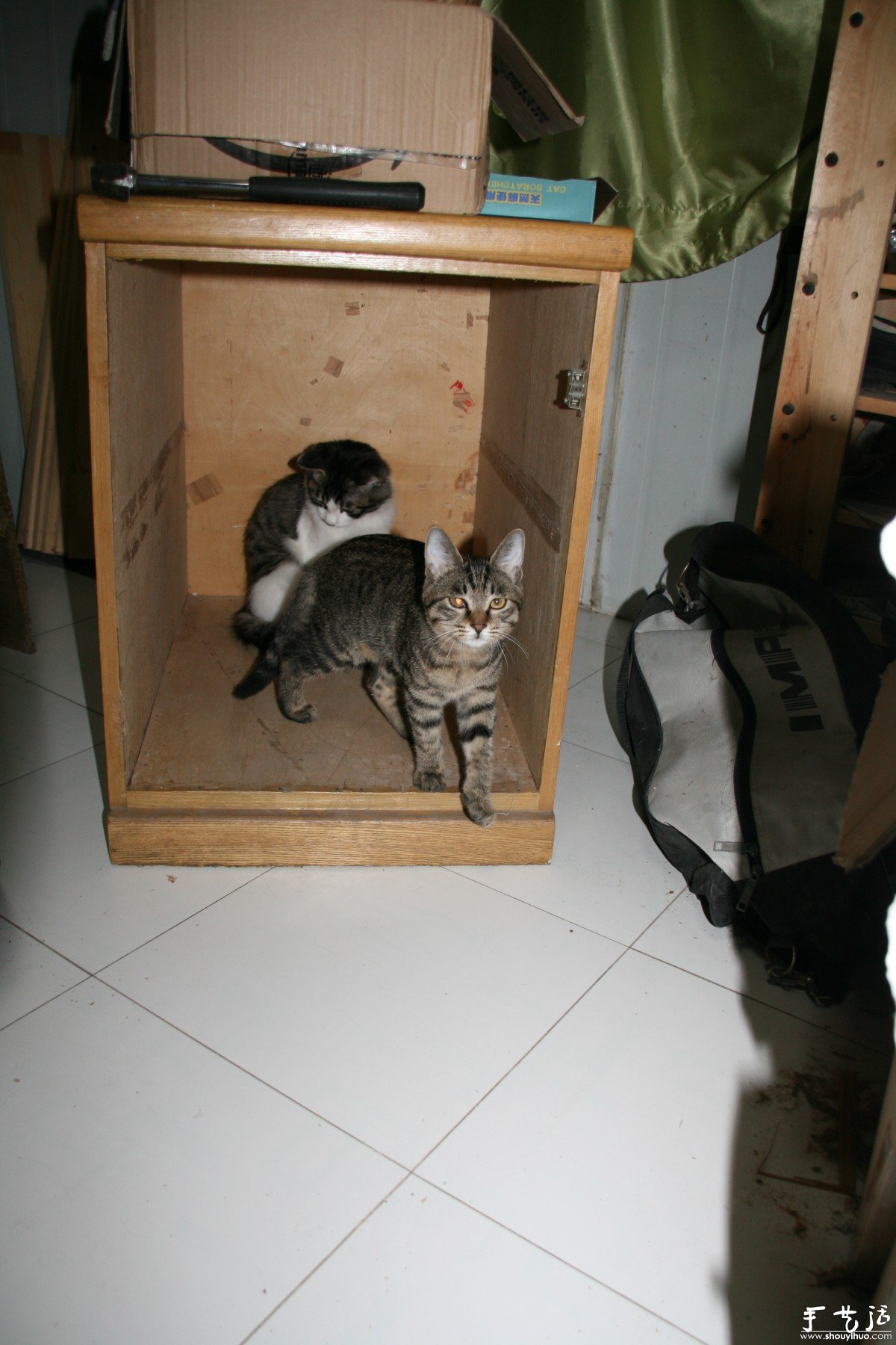 纯木手工DIY的猫窝和猫爬架