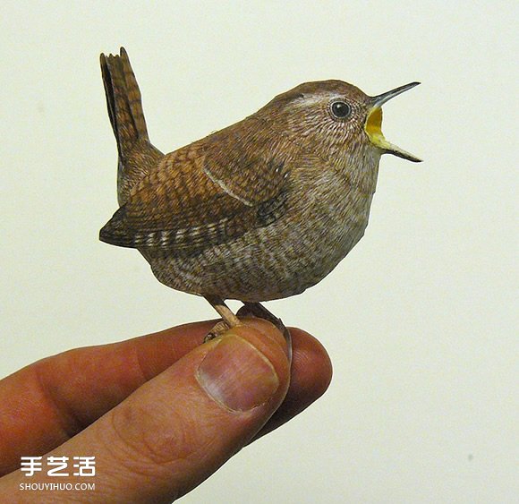 精细入微的纸鸟模型 大师级鸟类纸模型图片