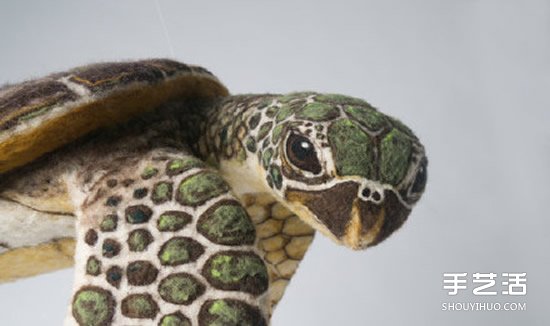 超逼真的羊毛毡海龟 让人不敢置信的手工作品