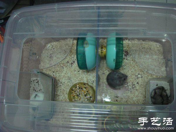 超大仓鼠笼制作方法 整理箱DIY仓鼠笼子