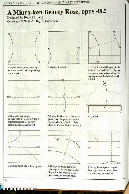 罗伯特玫瑰的折法 折纸罗伯特玫瑰图解教程