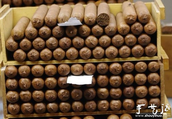 古巴雪茄手工制作过程大揭秘