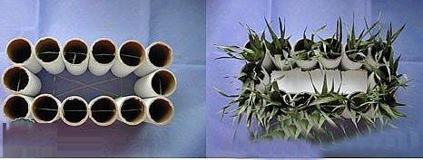 卷纸筒废物利用手工制作花瓶