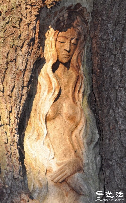 树木雕刻 雕塑艺术与自然的融合