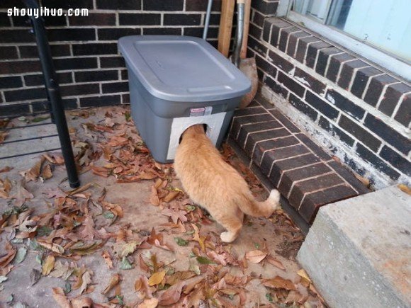 利用塑胶箱自制温暖猫窝 流浪猫不怕寒流咯