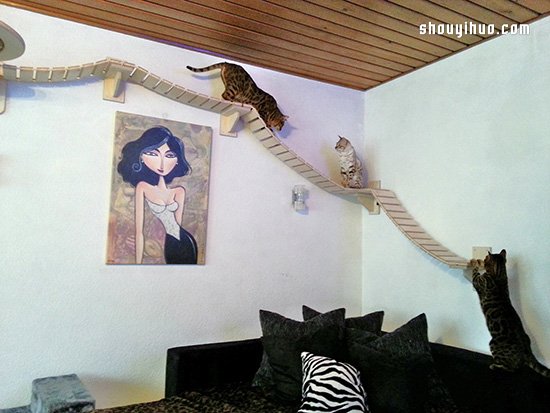 空中乐园般的猫爬架DIY 猫猫大人太幸福了