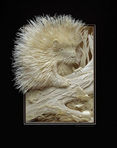 Calvin Nicholls 的创意纸雕艺术作品欣赏