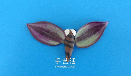 用树叶做翅膀 简单省力的粘土蝴蝶手工制作