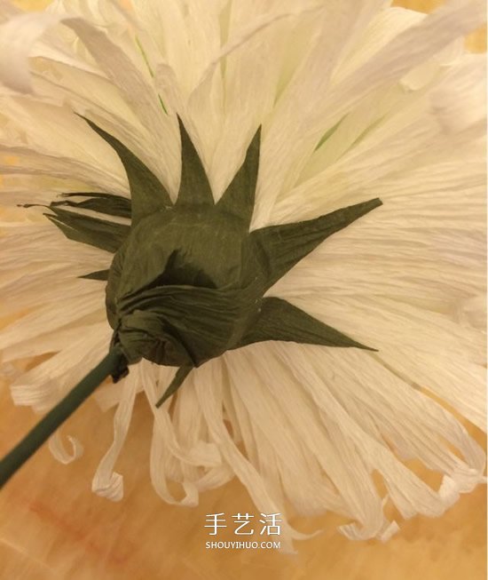 重阳节纸菊花的做法 皱纹纸手工制作菊花图解