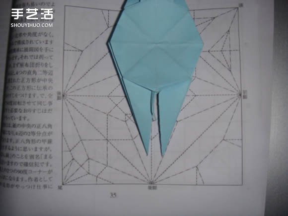 怎么折纸软壳龟图解 手工立体软壳龟的折法