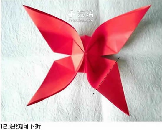 体型最大的蝴蝶 美丽凤尾蝶的折纸方法图解