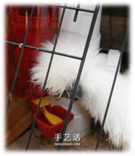 自制养鸡饮水器的方法 简易宠物饮水器的制作