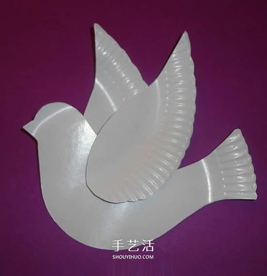 纸盘废物利用 手工制作国庆节和平鸽的方法
